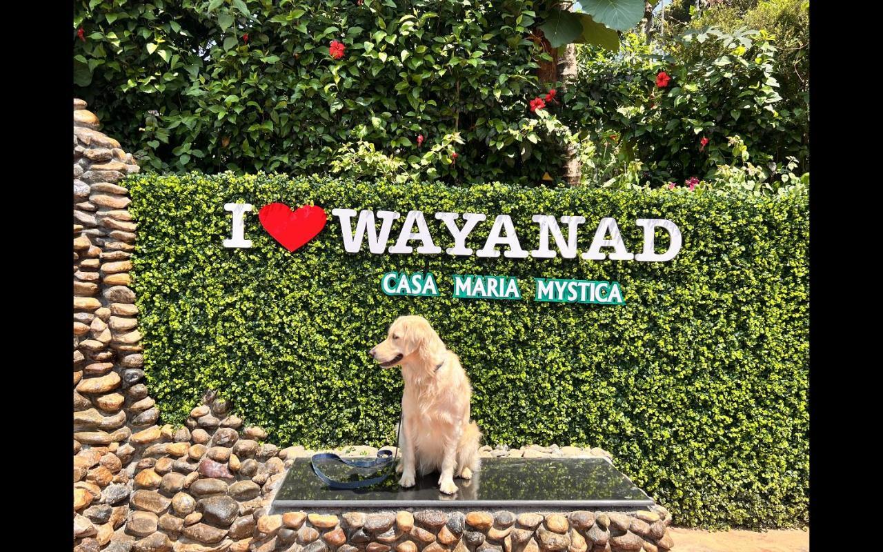 Casa Maria Mystica Apartments, Mananthavady, Wayanad Экстерьер фото